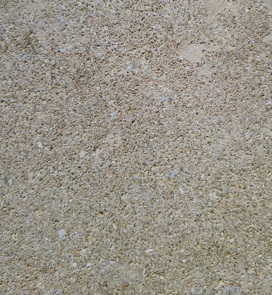 Face coquillée en contresens - Coloris blanc.JPG